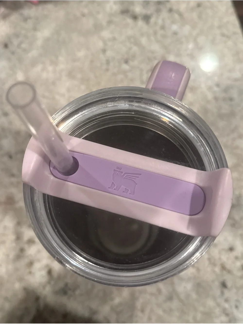 Stanley Tumbler